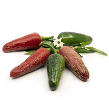 Hot pepper Jalapeno Jumbo