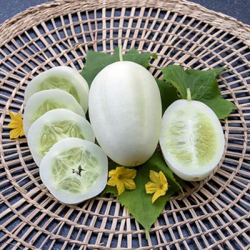 Cucumber Dragon's Egg