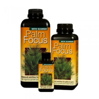 Palmvoeding-Palm focus 1 liter