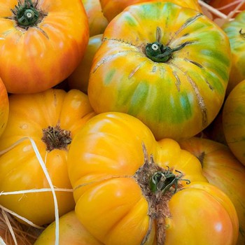 Beefsteak tomato Ananas