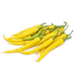 Hot pepper Cayenne Golden 