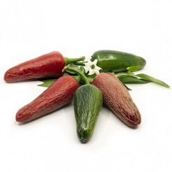 Hot pepper Jalapeno Jumbo