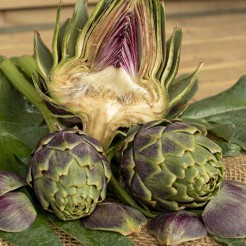Artichoke Romanesco