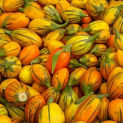 Jackpot (pot aubergine)