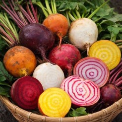 Beetroot Four Colour Mix