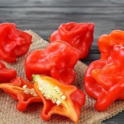 Peper Bishops Crown