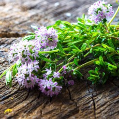 Summer Savory