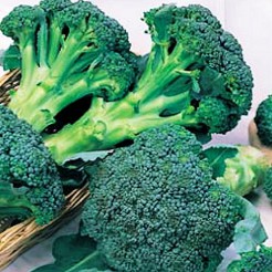 Broccoli Calabrese