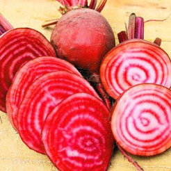 Beetroot Chioggia