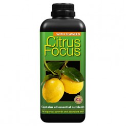 Citrusvoeding - Citrus Focus 1 liter