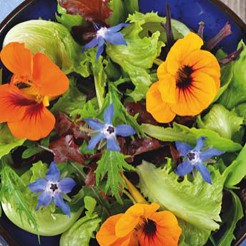 Edible flowermix