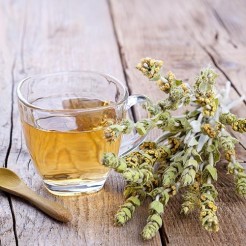 Greek mountain tea