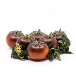 Cherry tomato Mooncalf