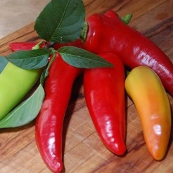 Pointy sweet pepper Hungarian Sweet Wax