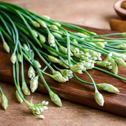 Garlic Chives (Chinese Chives)
