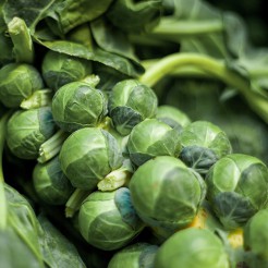 Brussel Sprouts Long Island Improved 