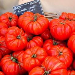 Beefsteak tomato Marmande