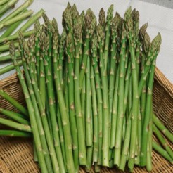 Asparagus Mary Washington