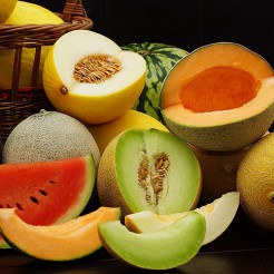 Melon mixed varieties