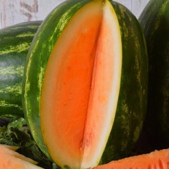 Watermelon Orangeglo