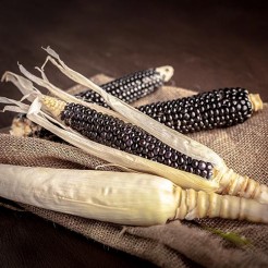 Popcorn Black
