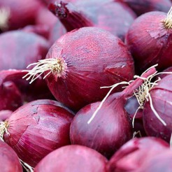 Onion Red Baron 