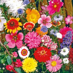 Cut flowers mix