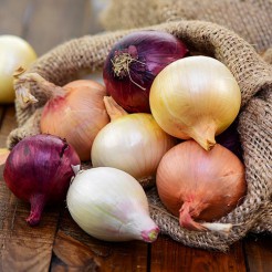 Onion mix yellow, red and white
