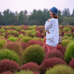 Burning Bush Tricophylla