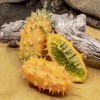 Wilde Kiwano