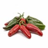 Jalapeno Early