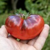 Marmande Blue