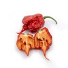 Carolina Reaper peper