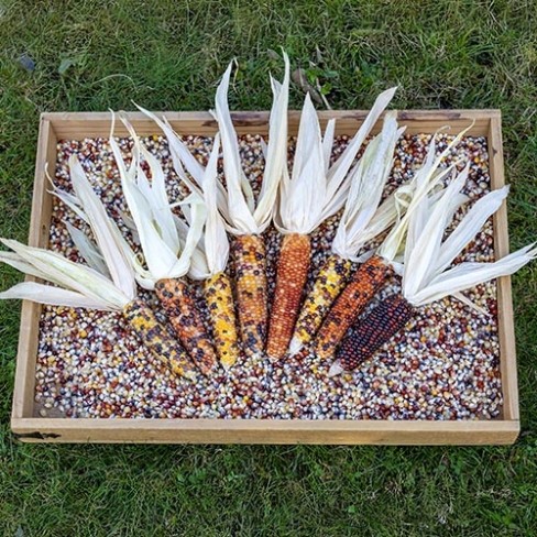 Popcorn Mini Mixed